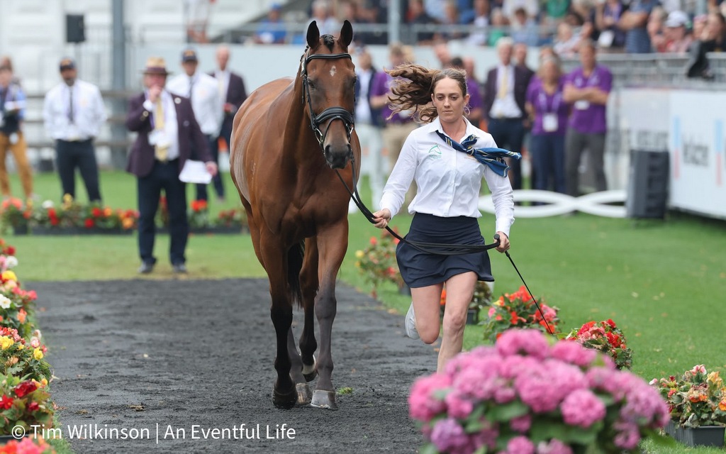 Sophia Hill (AUS) presents Humble Glory for the 2nd horse ispcetion for the eventing at 2026 FEI World Championships Aachen | An Eventful Life