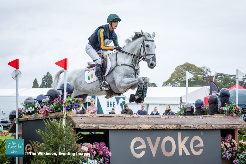 Ian Cassells rides Millridge Atlantis on cross country at the 2025 FEI European Eventing Championships Blenheim Palace | An Eventful Life