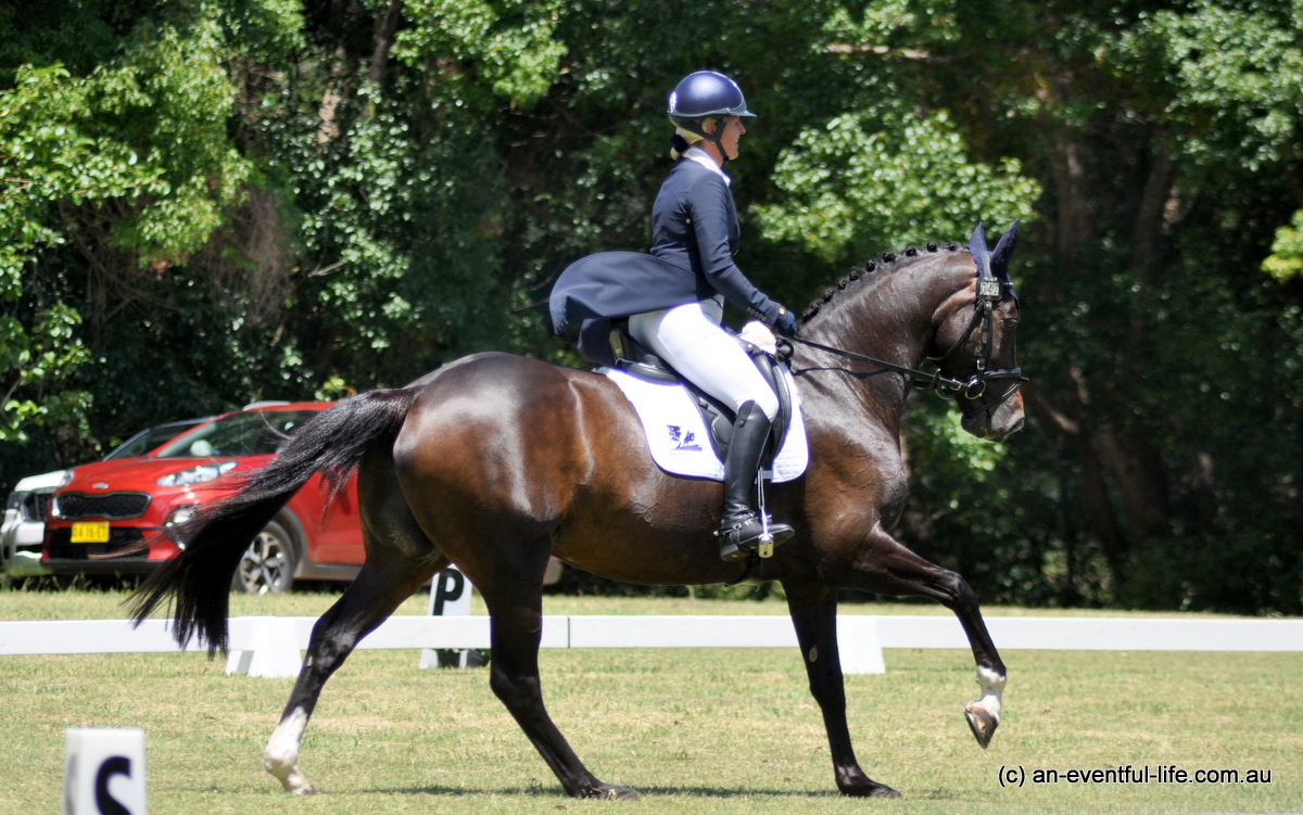 Eventing Dressage Test