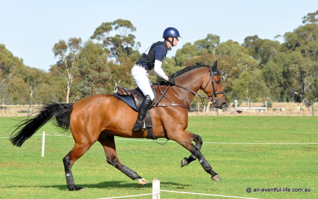 Oliver Barrett, 5* first timer at Adelaide Equestrian Festival 2026