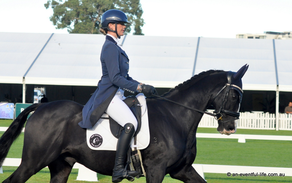 CCI3*-L interim results at Adelaide Equestrian Festival 2026