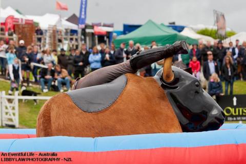 12-Barb-Sam_Watson_Mechanical_Bull.jpg
