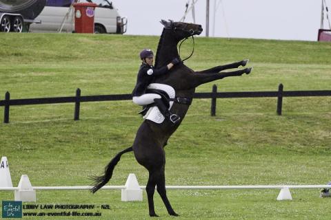 12-Puhi-NZL-Claudia_Wilson_ShapeshifterII.jpg