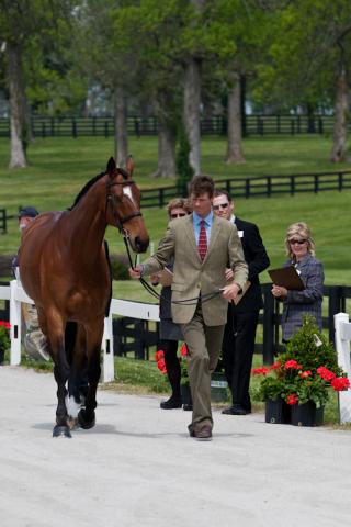 2012-RK3DE-GBR-Fox-Pitt-0065.jpg
