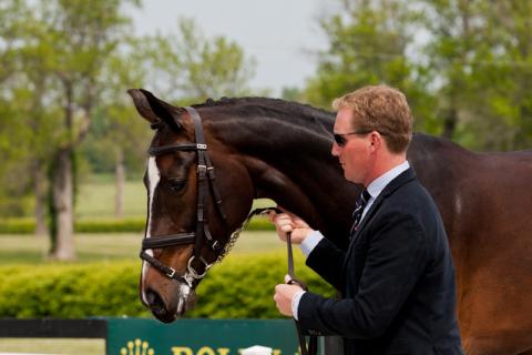 2012-RK3DE-GBR-Townend-0112.jpg