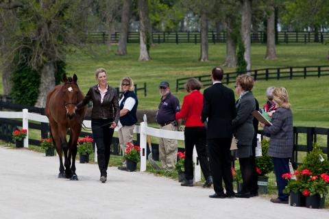 2012-RK3DE-NZL-Jackson-0085.jpg