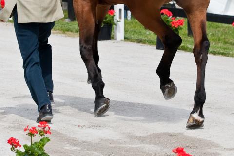2012-RK3DE-NZL-Nicholson-0058.jpg