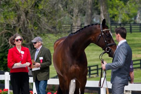 2012-RK3DE-NZL-Paget-0115.jpg