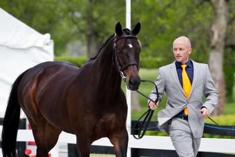 2012-RK3DE-USA-Pollard-0282.jpg