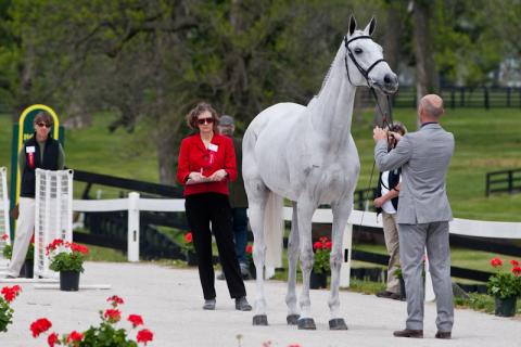2012-RK3DE-USA-Pollard-0289.jpg