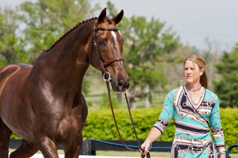 2012-RK3DE-USA-Springer-0501.jpg