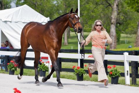 2012-RK3DE-USA-White-0373.jpg