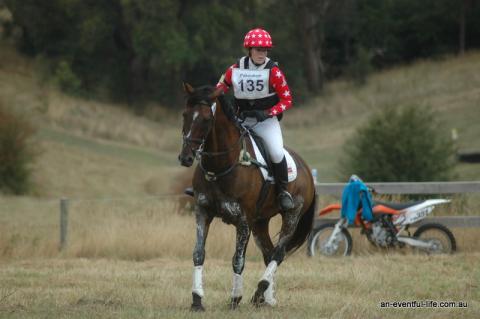Pakenham_Horse_Trials_Jan_2013.JPG