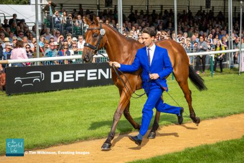 Harry Meade presents Superstition for the CCI5* eventing first horse inspection at Defender Burghley Horse Trials 2024 | An Eventful Life