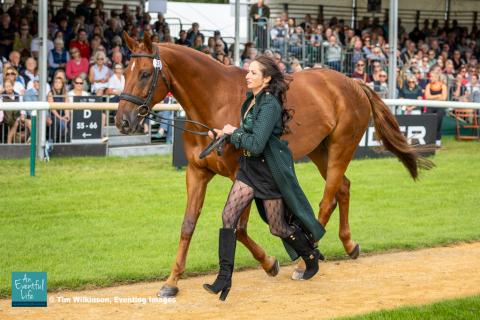 Jennie Brannigan presents FE Lifestyle for the CCI5* eventing first horse inspection at Defender Burghley Horse Trials 2024 | An Eventful Life