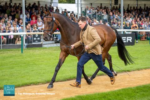 Matt Heath presents Golden Recipe for the CCI5* eventing first horse inspection at Defender Burghley Horse Trials 2024 | An Eventful Life
