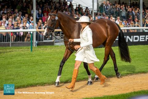 Mia Farley presents Phelps for the CCI5* eventing first horse inspection at Defender Burghley Horse Trials 2024 | An Eventful Life