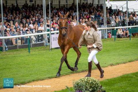 Sophia Hill presents Humble Glory for the CCI5* eventing first horse inspection at Defender Burghley Horse Trials 2024 | An Eventful Life
