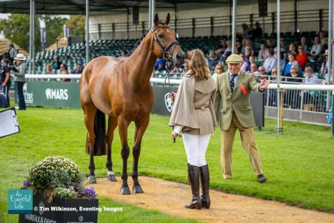 Sophia Hill presents Humble Glory for the CCI5* eventing first horse inspection at Defender Burghley Horse Trials 2024 | An Eventful Life