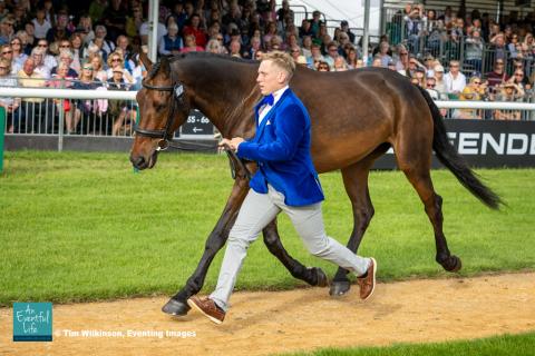 Tom Bird presents Cowling Hot Gossip for the CCI5* eventing first horse inspection at Defender Burghley Horse Trials 2024 | An Eventful Life