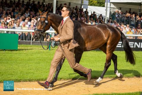 Will Rawlin presents Ballycoog Breaker Boy for the CCI5* eventing first horse inspection at Defender Burghley Horse Trials 2024 | An Eventful Life