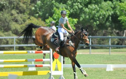 Lamoza Velisha rides Call Me Cooley in the CCI2*-S eventing showjumping at Equestriad Eventing at Camden, November 2024 | An Eventful Life