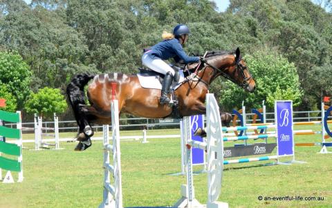 Niki Rose rides Dreamrush in the CCI2*-S eventing showjumping at Equestriad Eventing at Camden, November 2024 | An Eventful Life