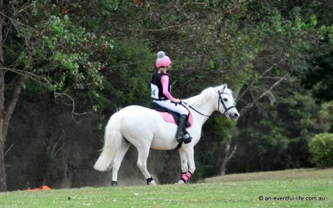 Equestriad Eventing at Camden, November 2024 | An Eventful Life