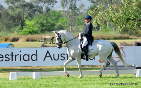 Heath Ryan rides Bobby Dazzler in the CCI3*-S eventing dressage at Equestriad Eventing at Camden, November 2024 | An Eventful Life