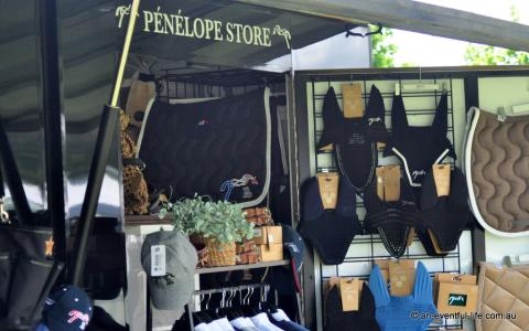 Equestriad Eventing CCI at Camden, November 2024 | An Eventful Life