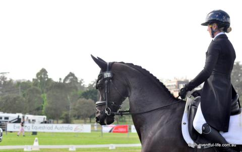 Justine Streater rides Quintina in the CCI4*-S eventing dressage at Equestriad Eventing at Camden, November 2024 | An Eventful Life