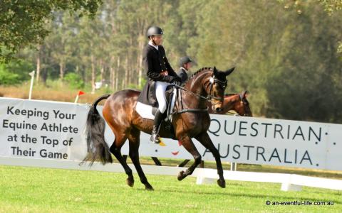 Sam Jeffree rides Santoro in the CCI4*-S eventing dressage at Equestriad Eventing at Camden, November 2024 | An Eventful Life