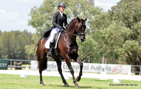 Jade Findlay rides PIKS Dancing Queen in the CCI4*-S eventing dressage at Equestriad Eventing at Camden, November 2024 | An Eventful Life