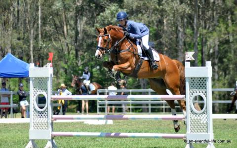 Shenae Lowings rides Chupa Chup in the CCI2*-S eventing showjumping at Equestriad Eventing at Camden, November 2024 | An Eventful Life