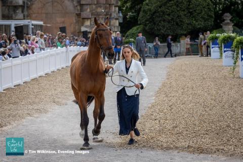 Lauren Innes presents Global Fision M during the first horse inspection for the CCI5* eventing at MARS Badminton Horse Trials 2025 | An Eventful Life