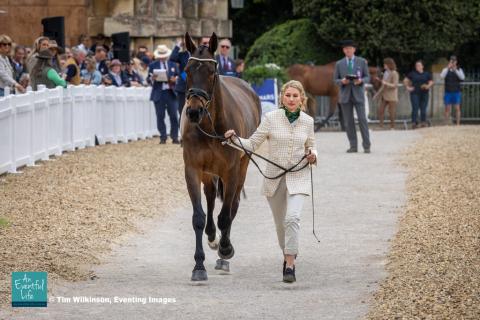 Samantha Cesnik presents Graftango during the first horse inspection for the CCI5* eventing at MARS Badminton Horse Trials 2025 | An Eventful Life