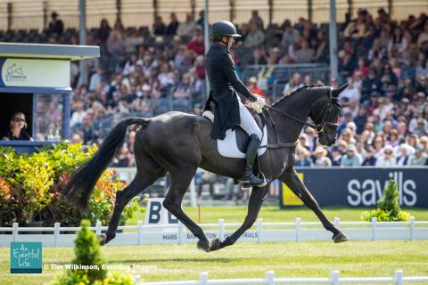 Tim Price rides Vitali during the dressage for the CCI5* eventing at MARS Badminton Horse Trials 2025 | An Eventful Life