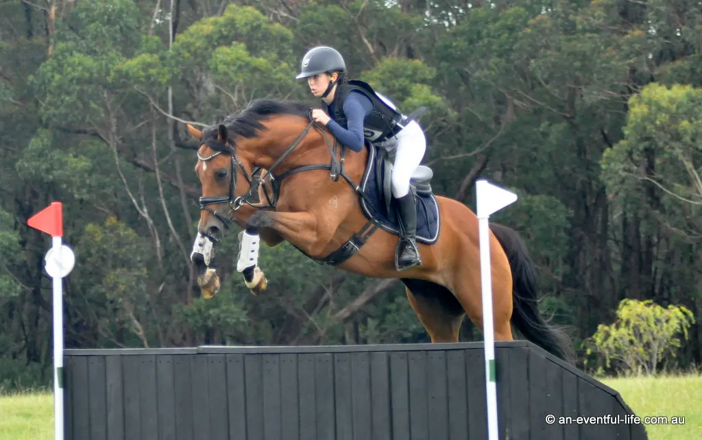 An Eventful Life: Eventing News & Cross Country Videos