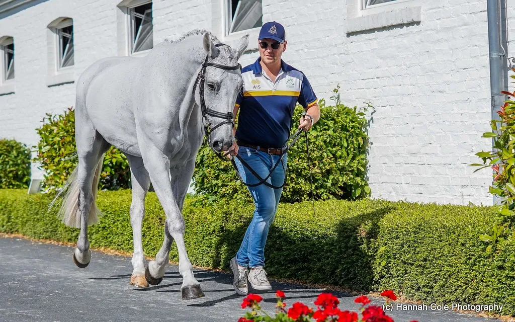 Andrew Cooper presents Sharvalley Thunder during the CCIO4*-S eventing first horse inspection at World Equestrian Festival CHIO Aachen 2025 | An Eventful Life