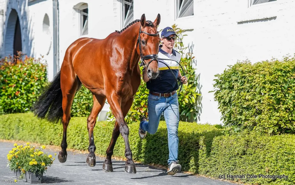 Kevin McNab presents Faro Imp during the CCIO4*-S eventing first horse inspection at World Equestrian Festival CHIO Aachen 2025 | An Eventful Life