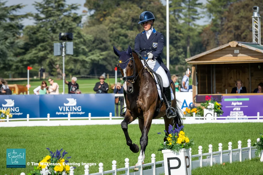 Amanda Staam rides Corpoubet AT during dressage at the 2025 FEI Eventing European Championship at Blenheim Palace | An Eventful Life