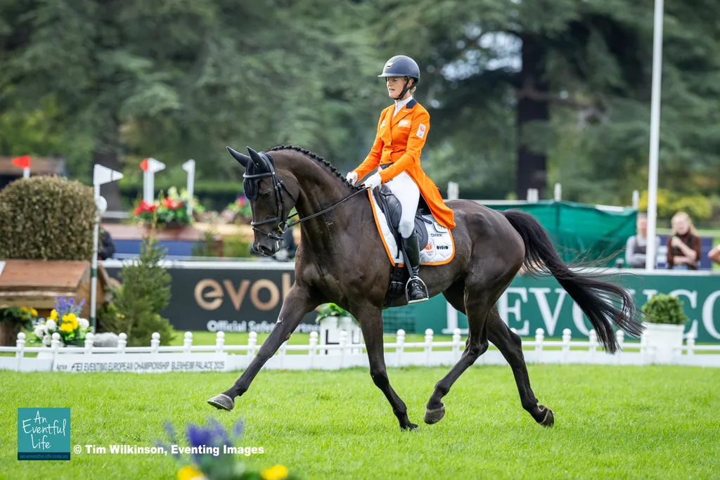 Florinoor Hoogland rides Hontoni during dressage at the 2025 FEI Eventing European Championship at Blenheim Palace | An Eventful Life