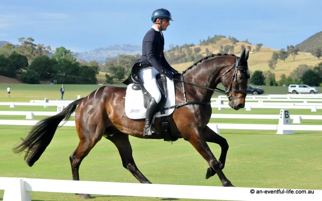Sam Woods rides SS Eight Count during CCI4* eventing dressage at Scone Horse Trials at Ellerston 2025 | An Eventful Life