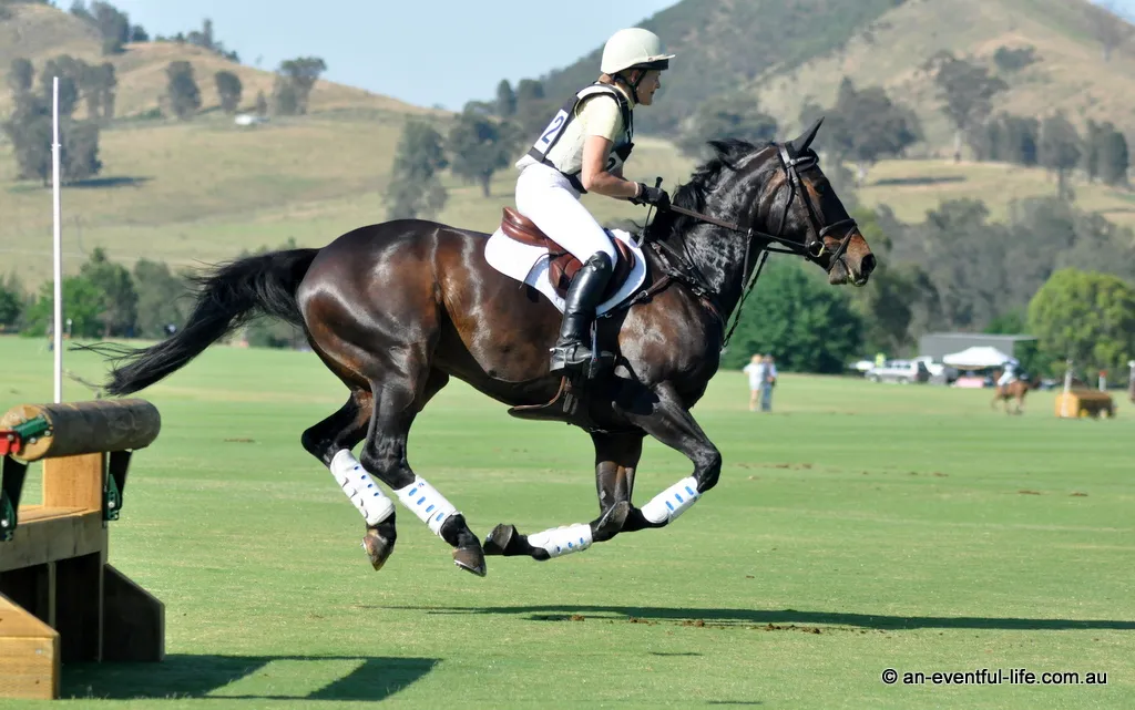 Nina Clarke rides LP Quantum Connection during CCN1* eventing cross country at Scone Horse Trials at Ellerston 2025 | An Eventful Life