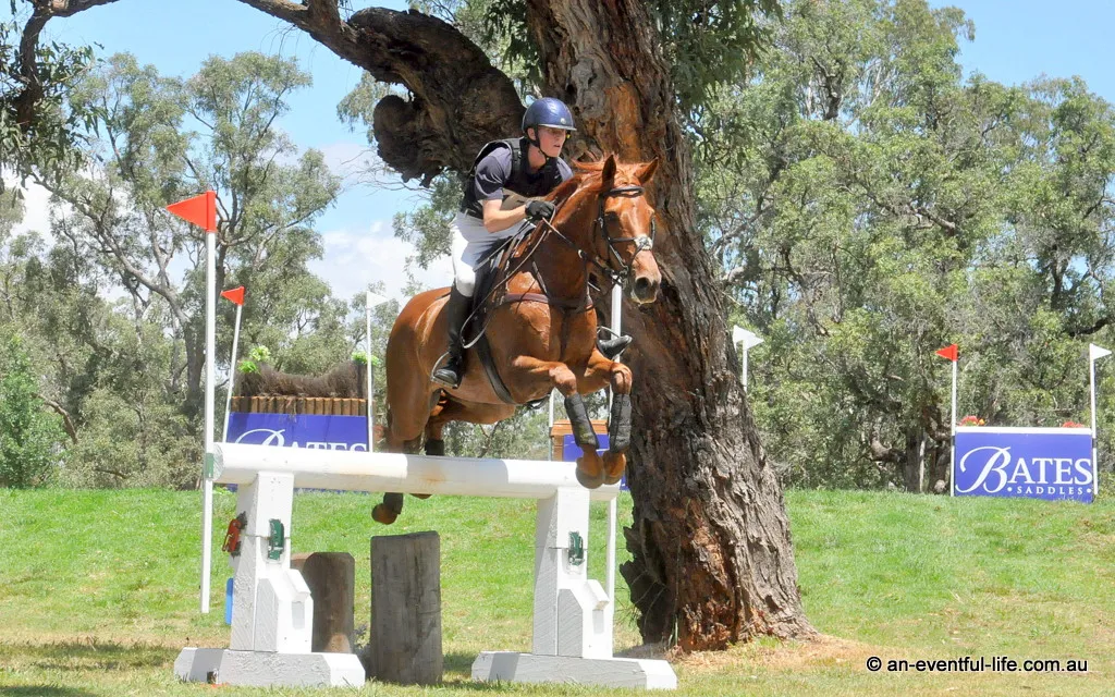 Oliver Barrett rides Sandhills Gem during CCI4* eventing cross country at Scone Horse Trials at Ellerston 2025 | An Eventful Life