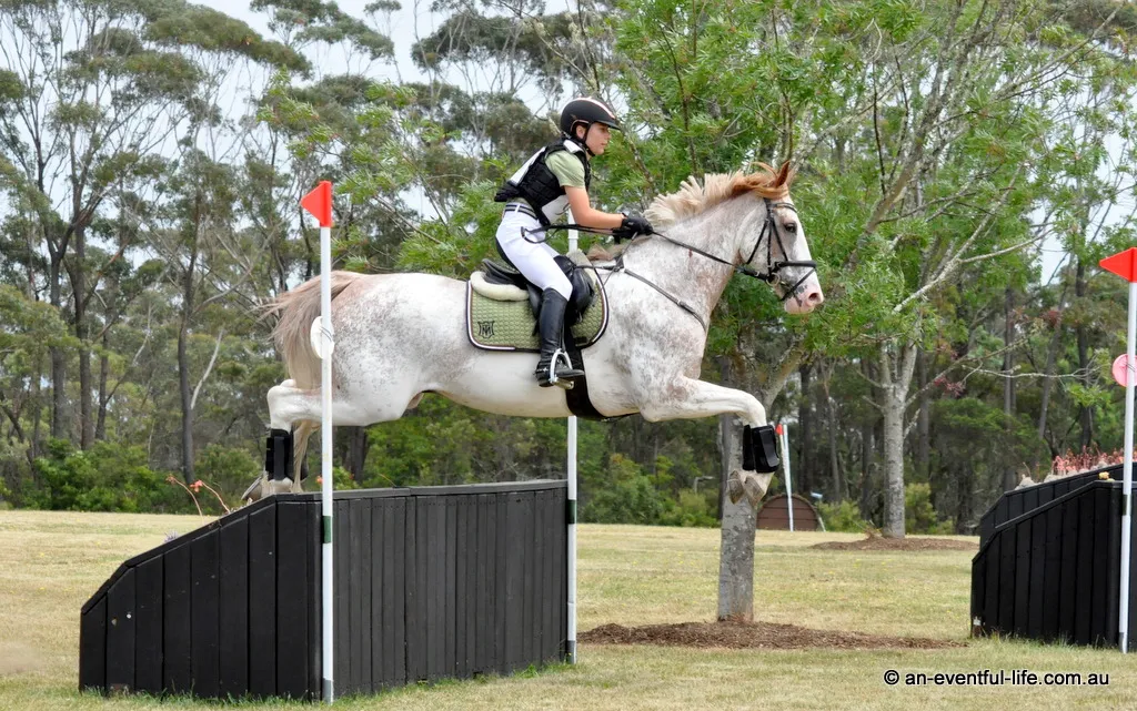 Amelia Razon rides Delarose Prince Caspian in the EvA95 eventing class at the Young Horse Festival and CCN One Day Event at Wallaby Hill, December 2025 | An Eventful Life