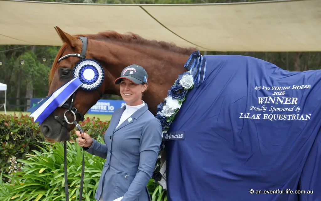Shenae Lowings rides Harris Park Elliston in the 4/5YO EvA95 eventing class at the Young Horse Festival and CCN One Day Event at Wallaby Hill, December 2025 | An Eventful Life