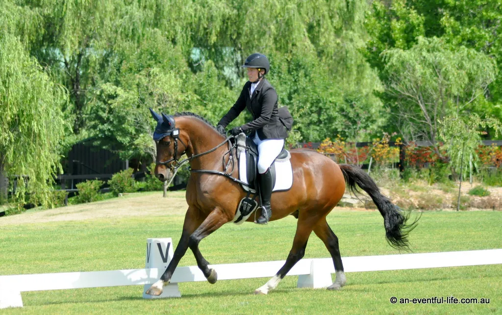 Eleanor Miller rides Kaloona Ducati in the CCN1*-S eventing class at the Young Horse Festival and CCN One Day Event at Wallaby Hill, December 2025 | An Eventful Life