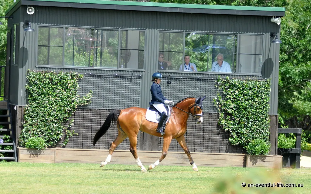 Niki Rose rides Cooley All Over in the CCN2*-S eventing class at the Young Horse Festival and CCN One Day Event at Wallaby Hill, December 2025 | An Eventful Life