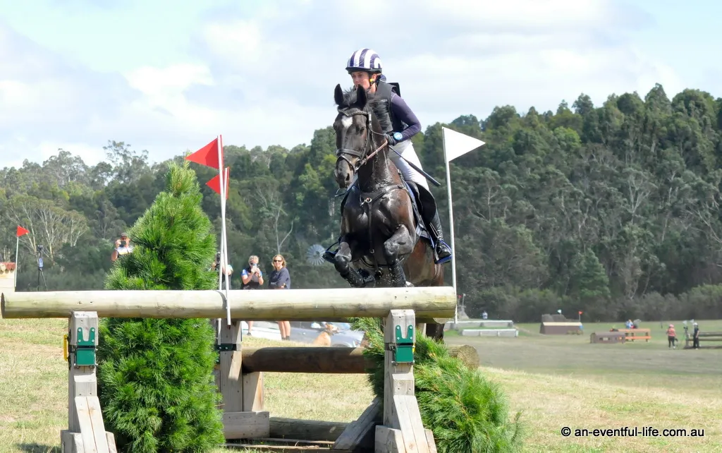 Sophia Hill rides Tulara Baltango during cross country of the CCI4* eventing at 2026 Tonimbuk International Horse Trials | An Eventful Life